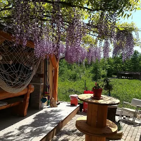 Beti Poreč